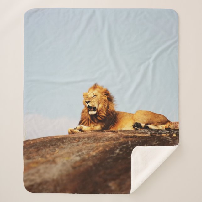 COBERTOR SHERPA LION ON GROUND DURING DAYTIME (Frente)