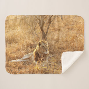 Cobertor Sherpa Lion Sherpa Blanket