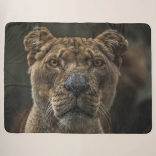 COBERTOR SHERPA LIONGIDADE