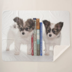 COBERTOR SHERPA LIVROS DE PUPPY