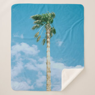 Cobertor Sherpa Low-angle photo of palm trees under blue sky