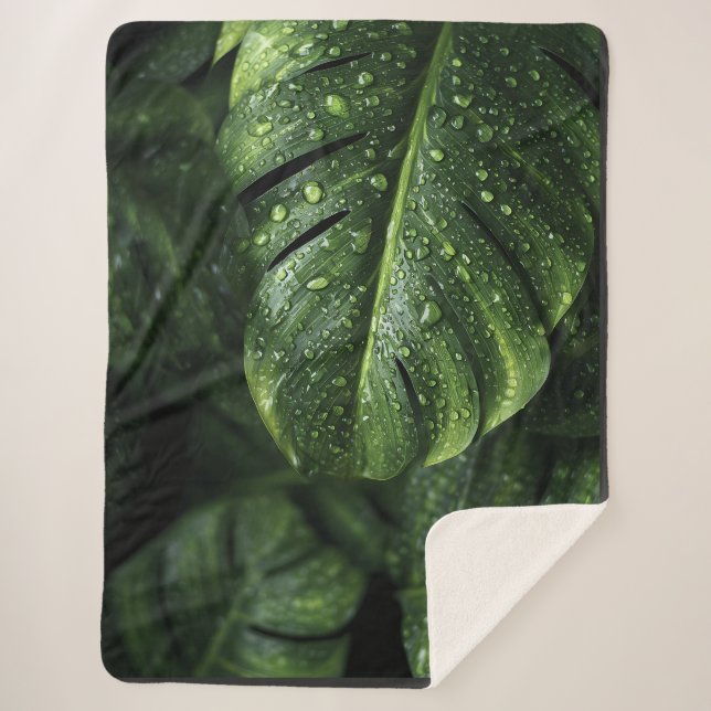 Cobertor Sherpa Lush Monstera Leaves with Morning Dew Drops (Frente)