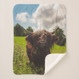 Cobertor Sherpa Luz verde do campo verde da vaca em lata negra