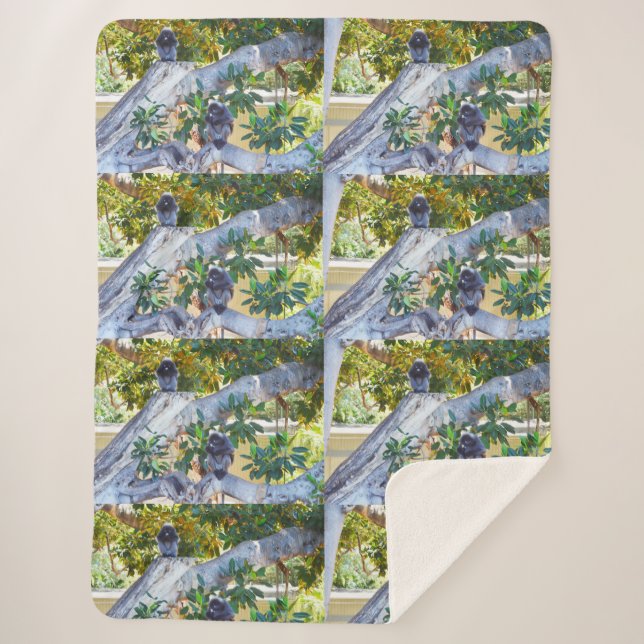 Cobertor Sherpa Macacos Black Langur Comendo, Lge Sherpa Blanket (Frente)