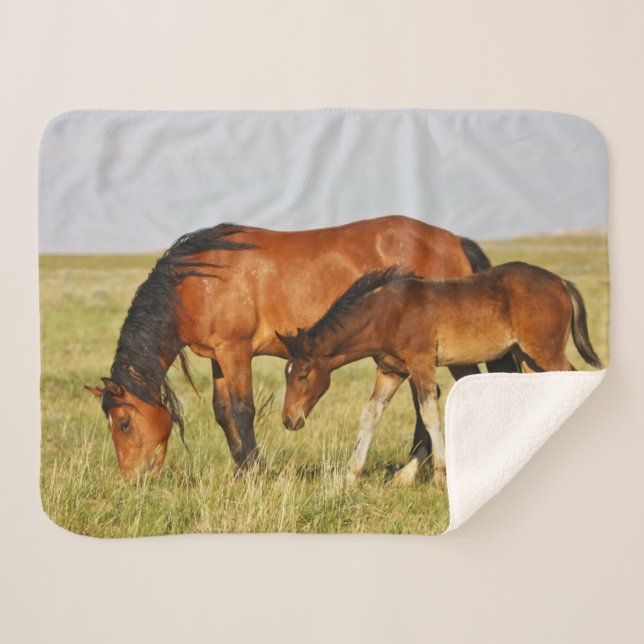 Cobertor Sherpa Mãe de Cavalo Selvagem e Grazing Colt (Frente (Horizontal))