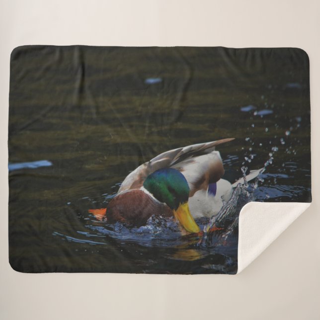 COBERTOR SHERPA MALLARD DUCK (Frente (Horizontal))