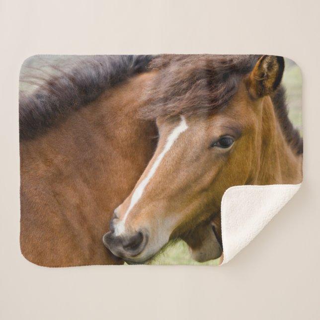 Cobertor Sherpa Mare E Colt (Frente (Horizontal))