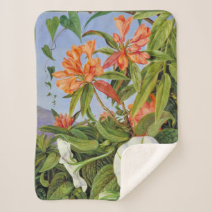 Cobertor Sherpa Marianne North - Javan Rhododendrum