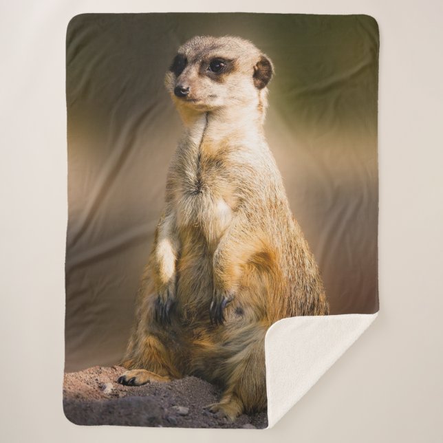 COBERTOR SHERPA MEERKAT (Frente)
