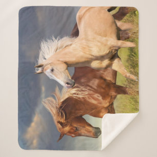 Cobertor Sherpa Melhores Amigos