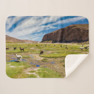 Cobertor Sherpa Montanhas   Andes bolivianos