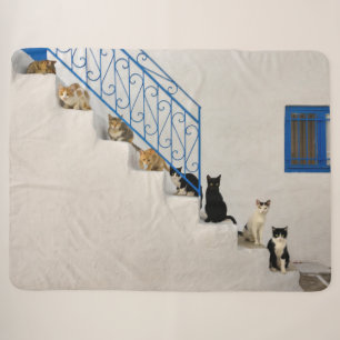 Cobertor Sherpa Muitos gatos numa escada branca numa aldeia grega