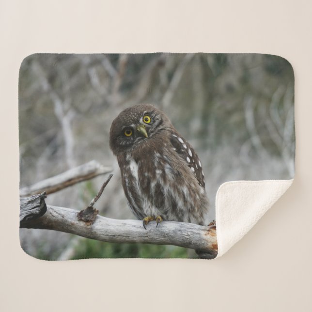Cobertor Sherpa Norte Pygmy Owl (Frente (Horizontal))