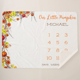 Cobertor Sherpa Nosso Pequeno Pumpkin Autumn Wreath Baby Miles
