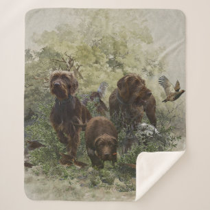 Cobertor Sherpa O Ponteiro