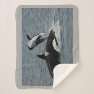 Cobertor Sherpa Orca e vitela