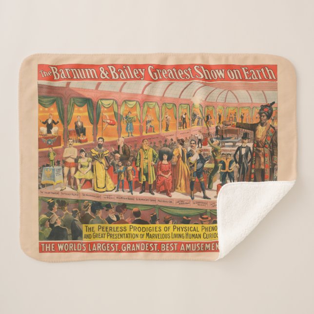 Cobertor Sherpa Os Prodígios Sem Pares De Fenômenos Físicos (Frente (Horizontal))