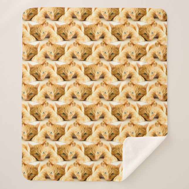 Cobertor Sherpa Padrão de Gengibre Laranja (Frente)