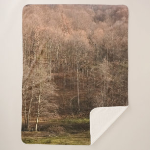 Cobertor Sherpa Paisagem Florestal de Outono - Natureza Selvagem R