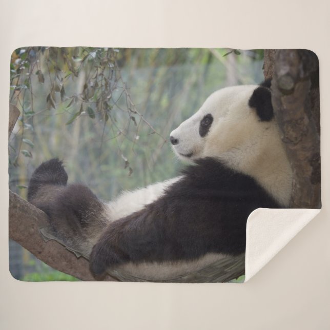 COBERTOR SHERPA PANDA SNOOZE (Frente (Horizontal))