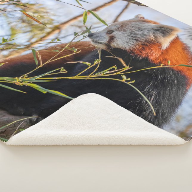 Cobertor Sherpa Panda vermelha (3/4)