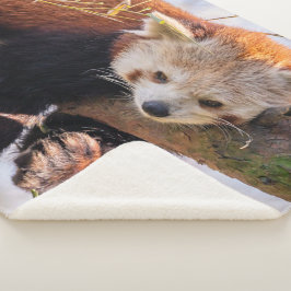 Cobertor Sherpa Pantaninha vermelha preguiçosa