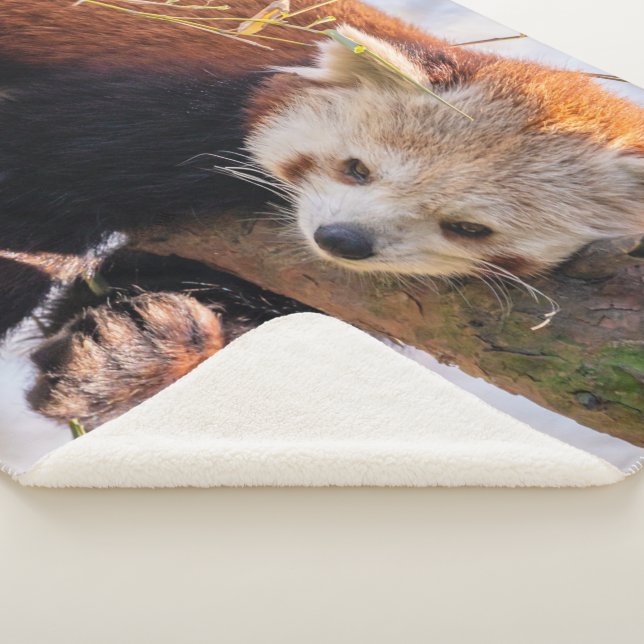 Cobertor Sherpa Pantaninha vermelha preguiçosa (3/4)