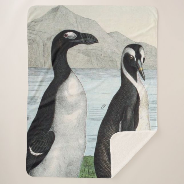 Cobertor Sherpa Par De Pinguins - Beach Towel (Frente)