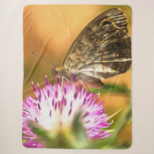 Cobertor Sherpa Parede Brown Butterfly Lasiommata megera Painting