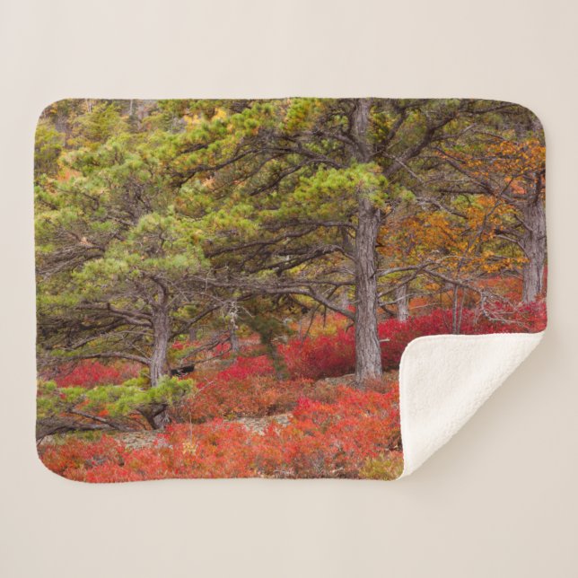 Cobertor Sherpa Parque Nacional de Acadia, Maine (Frente (Horizontal))
