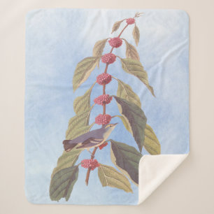 Cobertor Sherpa Pássaro Canino Verde Azul de Audubon