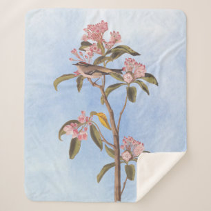 Cobertor Sherpa Pássaro Misterioso Cuvier de Audubon