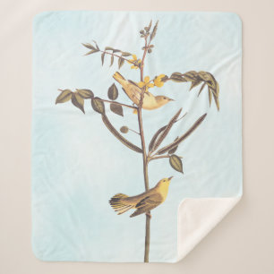 Cobertor Sherpa Pássaro Warbler Infantil