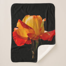 Cobertor Sherpa Peachy Orange Rosa