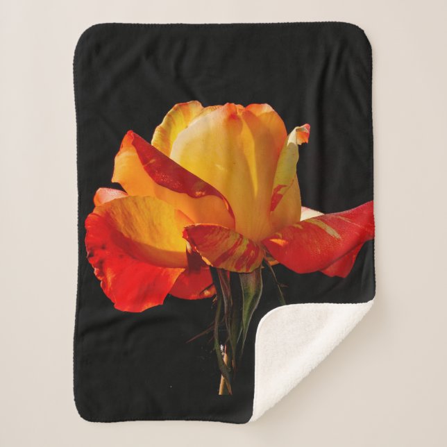 Cobertor Sherpa Peachy Orange Rosa (Frente)