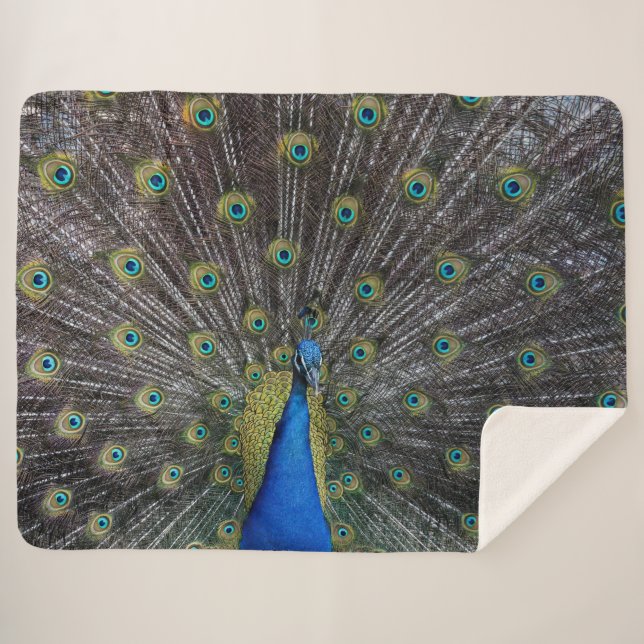 COBERTOR SHERPA PEACOCK (Frente (Horizontal))