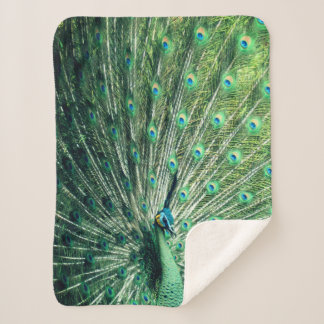 Cobertor Sherpa Peacock Strut