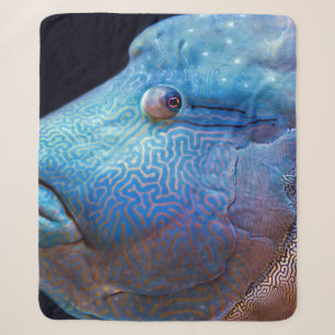 Cobertor Sherpa Peixe azul