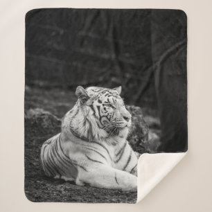 COBERTOR SHERPA PENSAMENTO DE TIGER