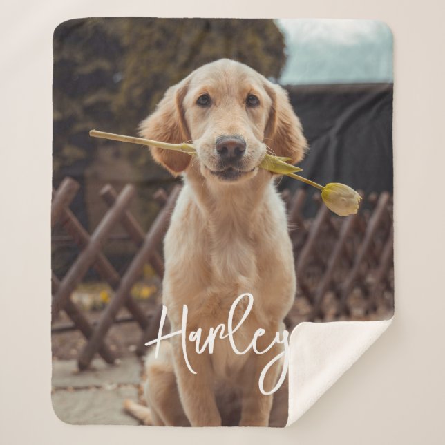 Cobertor Sherpa Personalized Custom Photo And Text (Frente)