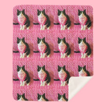 Pêssego Tuxedo Cat Medium Sherpa Blanket