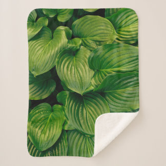 Cobertor Sherpa Planta verde