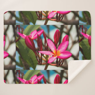 Cobertor Sherpa Plumeria florescente exótica florescente