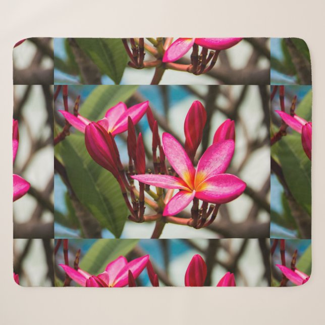 Cobertor Sherpa Plumeria florescente exótica florescente (Frente (Horizontal))