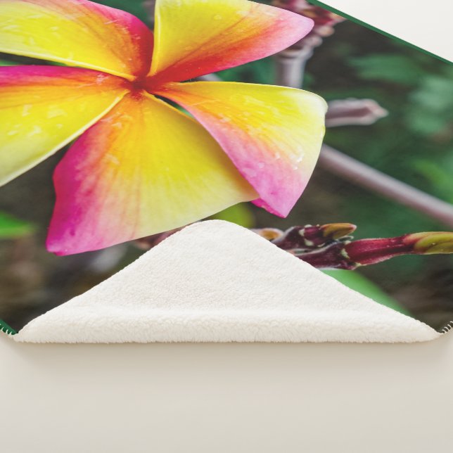 Cobertor Sherpa Plumeria rubra (3/4)