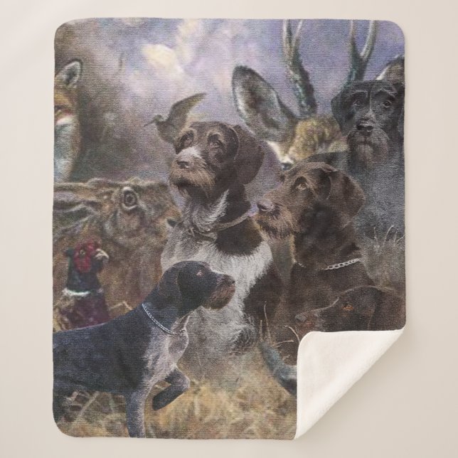 Cobertor Sherpa Ponteiro alemão Wirehaired (Frente)