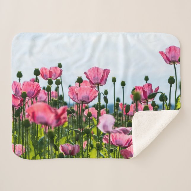 Cobertor Sherpa Poppies Rosa (Frente (Horizontal))