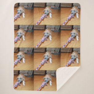 Cobertor Sherpa Poppy O Touro Terrier Puppy Playtime,