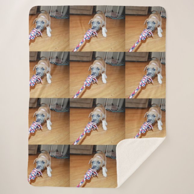 Cobertor Sherpa Poppy O Touro Terrier Puppy Playtime, (Frente)