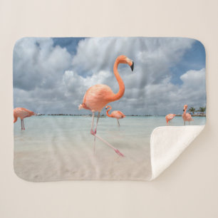 Cobertor Sherpa Praias Tropicais   Flamingos Beach, Aruba